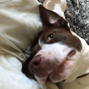 Meet your Posher, Emma